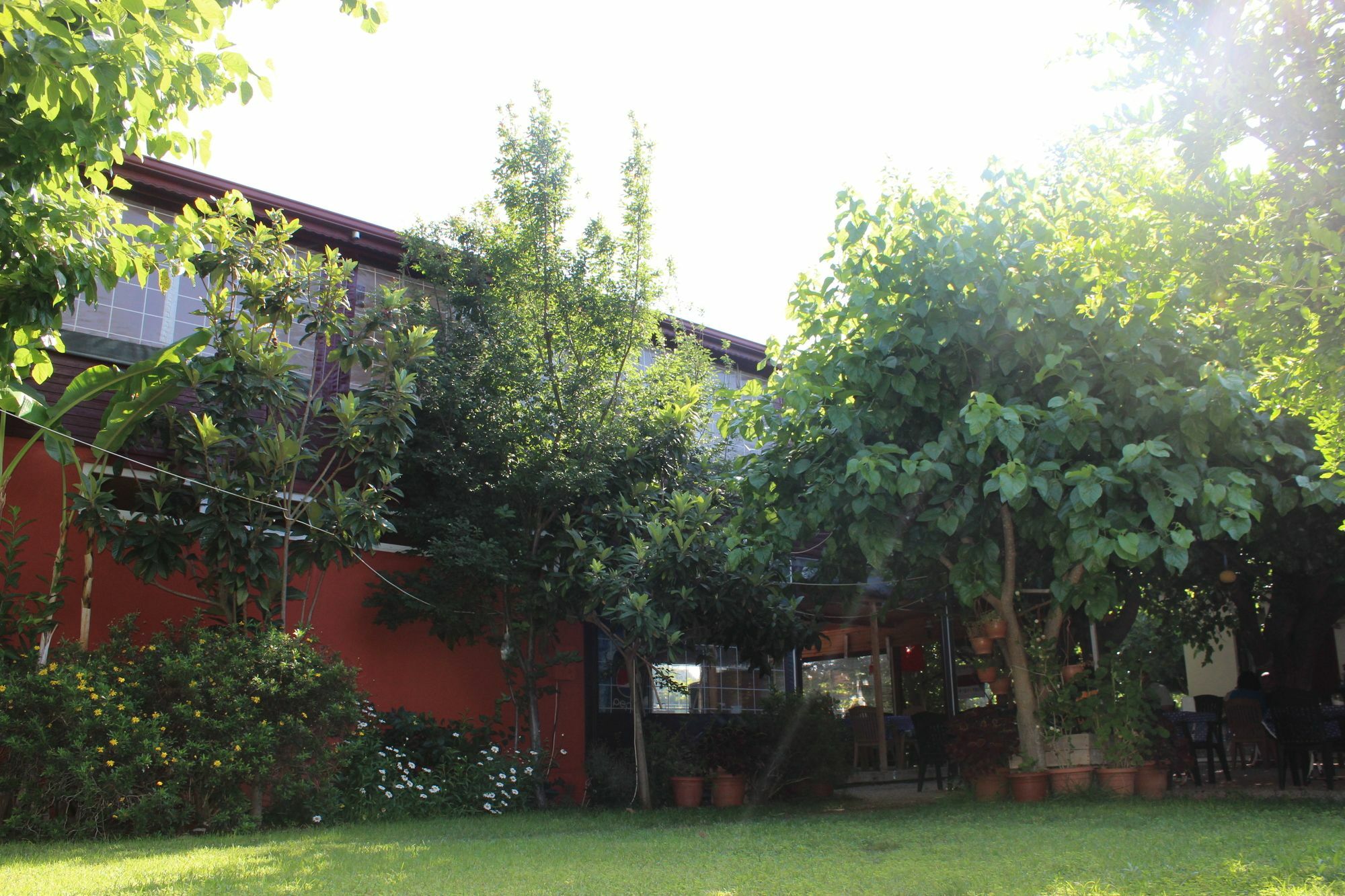 Alibaba Pension Çıralı Exterior foto